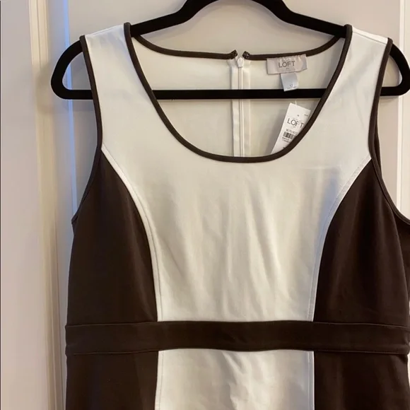 Ann Taylor Brown and Cream Dress Sz 12 NWTS - Picture 3 of 6